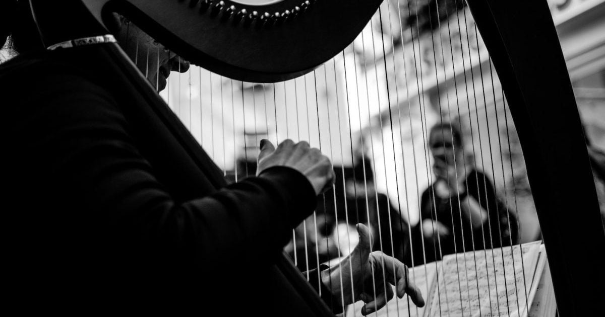 Harfa - Grayscale Photo of Person Playing Arpa