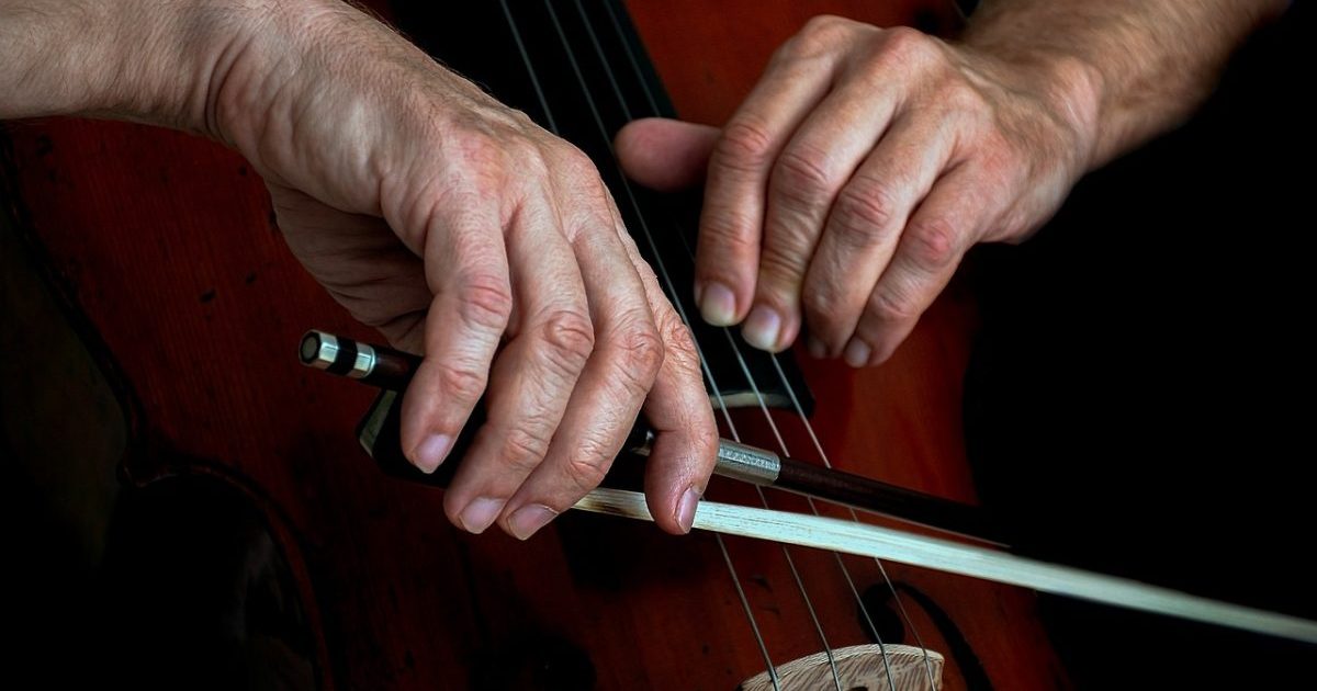 Kontrabas - cello, violoncello, musical instrument