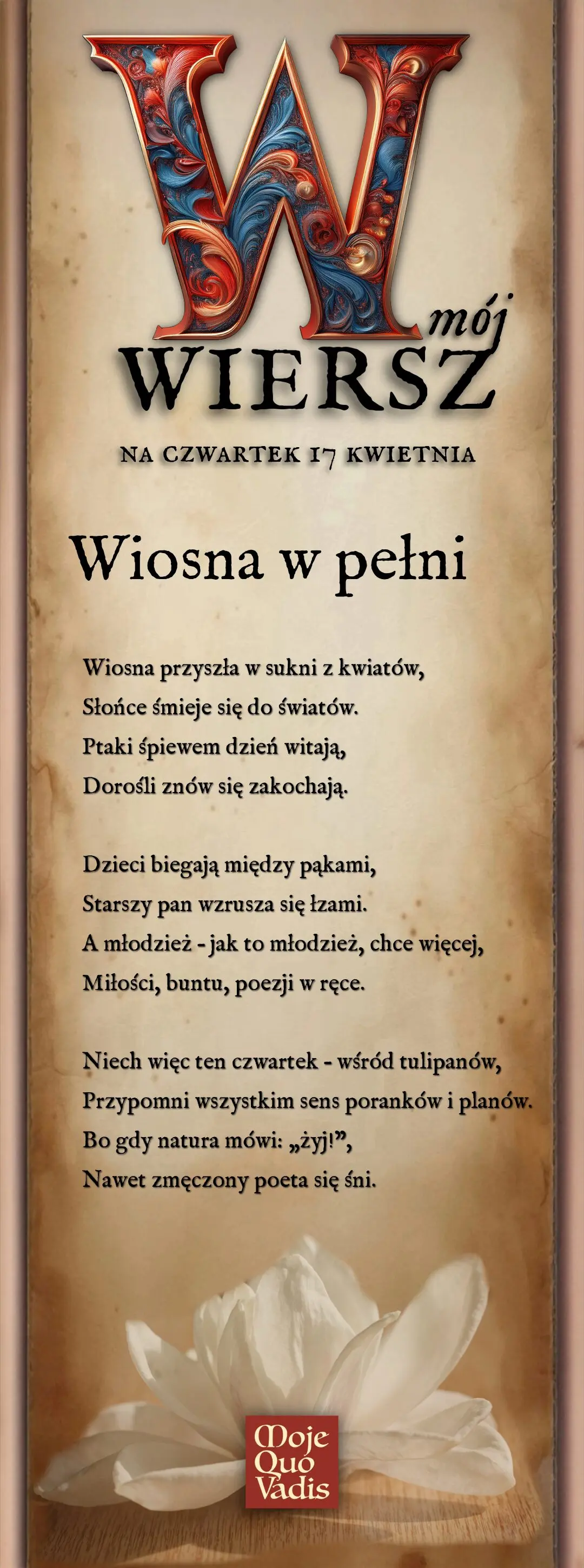 CZWARTKOWY WIERSZYK w klasycznym lekko lirycznym stylu dla młodzieży i dorosłych na dzień 17 kwietnia. Treść wierszyka na ilustracji - Tytuł wierszyka - Wiosna w pełni. Treść wierszyka " Wiosna przyszła w sukni z kwiatów, Słońce śmieje się do światów. Ptaki śpiewem dzień witają, Dorośli znów się zakochają. Dzieci biegają między pąkami, Starszy pan wzrusza się łzami. A młodzież – jak to młodzież, chce więcej, Miłości, buntu, poezji w ręce. Niech więc ten czwartek – wśród tulipanów, Przypomni wszystkim sens poranków i planów. Bo gdy natura mówi: „żyj!”, Nawet zmęczony poeta się śni."