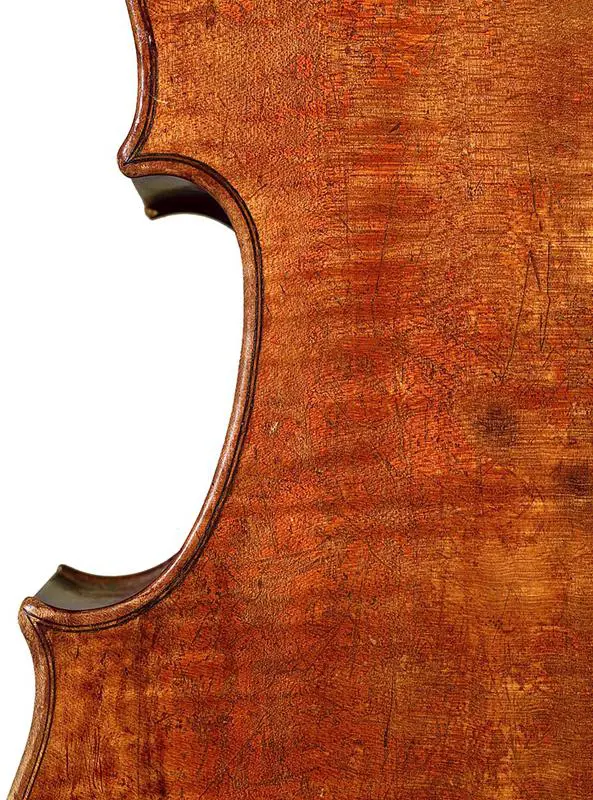 Viola 8 VS 2 1