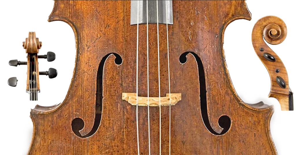 Viola da Gamba