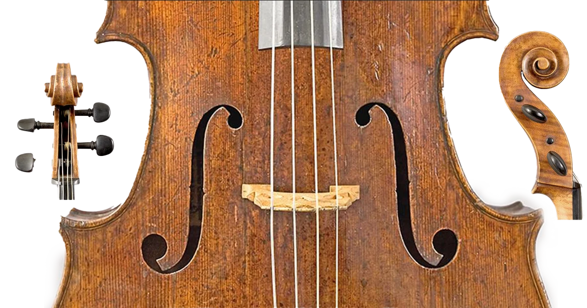 Viola da Gamba