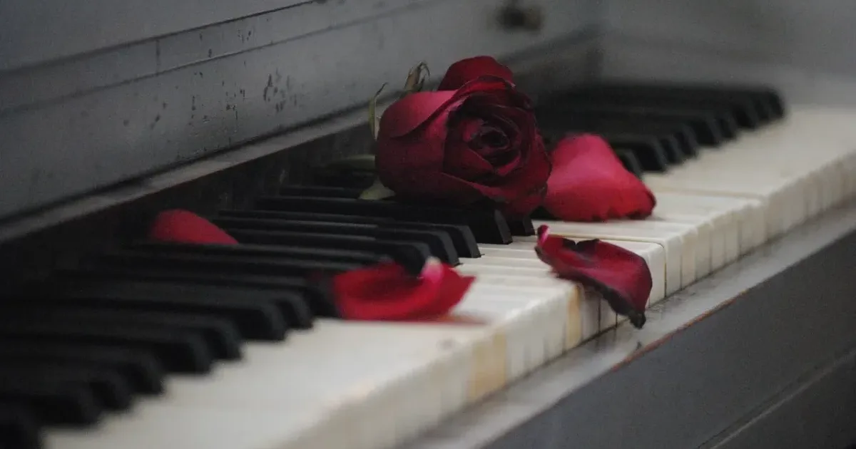 Schubert - Sonata A-dur D959 | piano, rose, red
