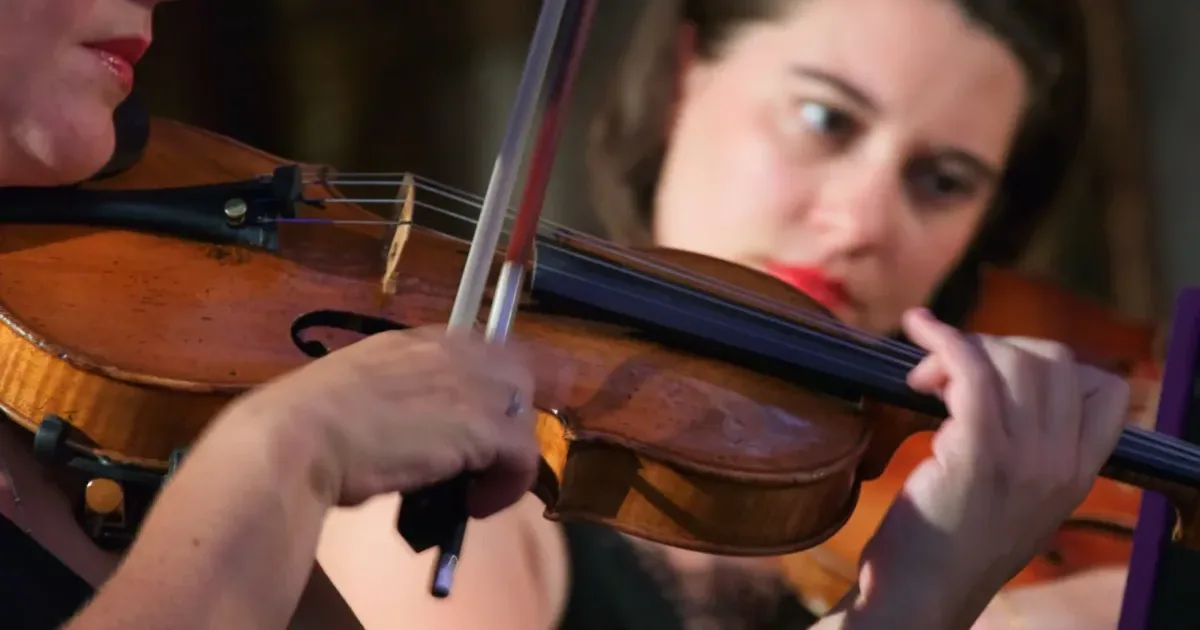 Symfonia koncertująca KV 364 person playing violin