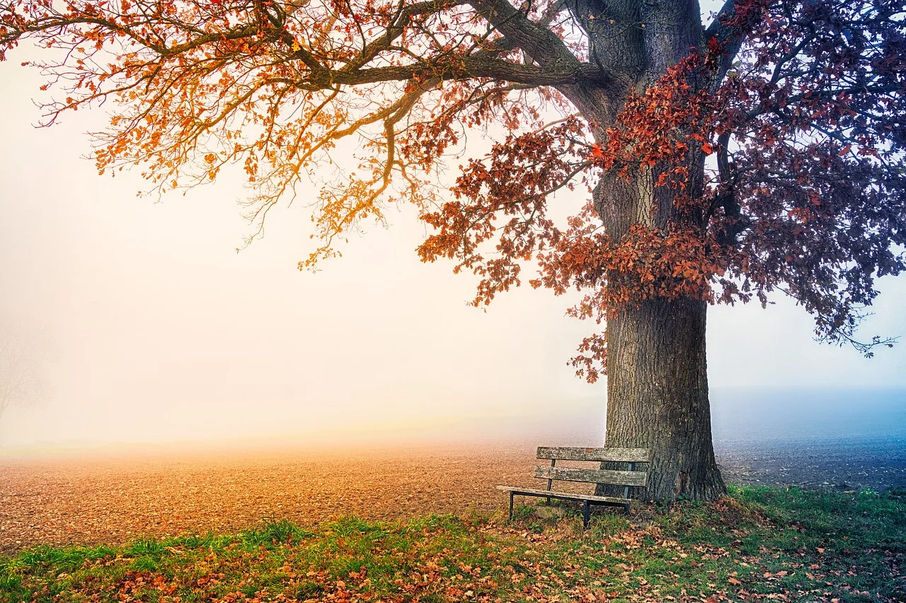 Przeboje muzyki kameralnej