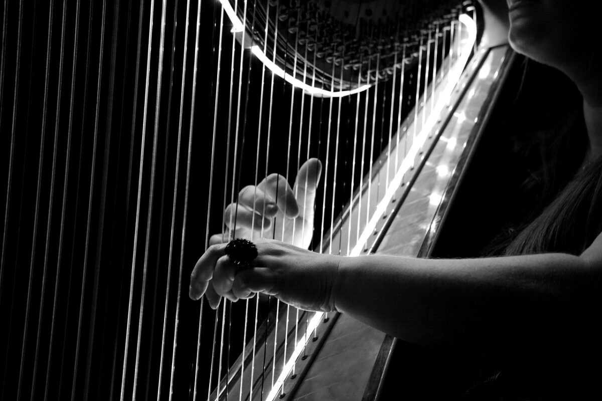 Harfa - concert, harp, logo