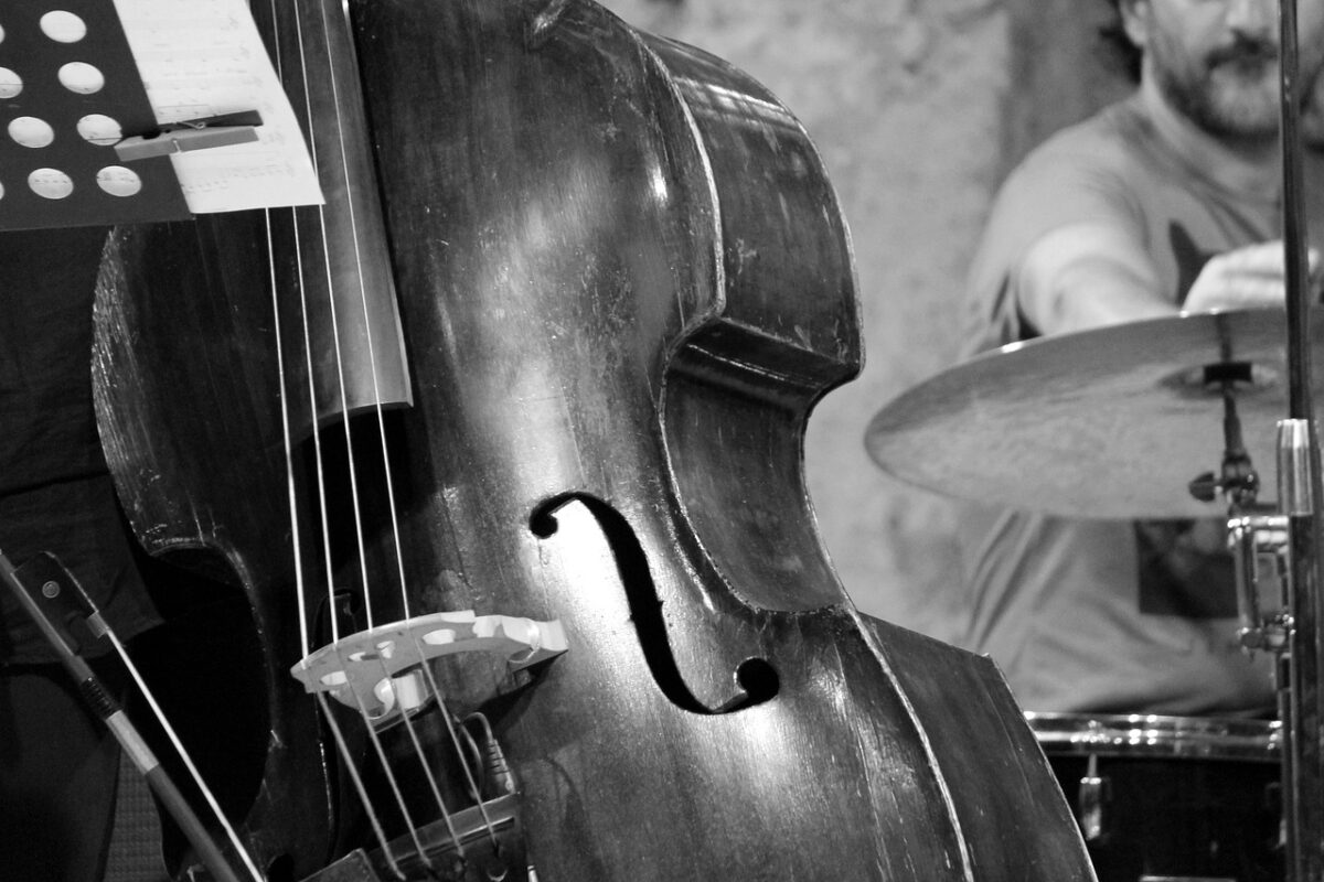 jazz, concert, double bass