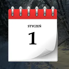 1 stycznia 1 1 stycznia