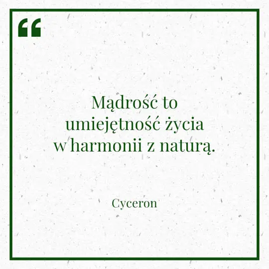 Ilustracja myśli dnia na 9 stycznia "Mądrość to umiejętność życia w harmonii z naturą" - Cyceron | mojequovadis.pl lub ppiotrr.pl