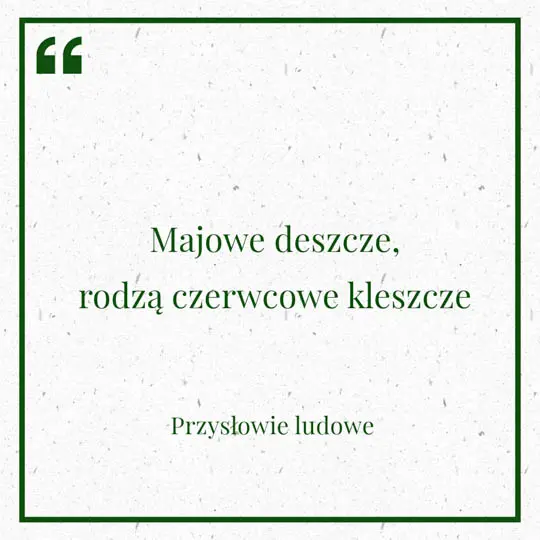 Grafika z Myślą dnia na 30 maja "Majowe deszcze, rodzą czerwcowe kleszcze" - Przysłowie ludowe