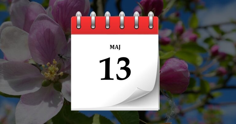 13 maja