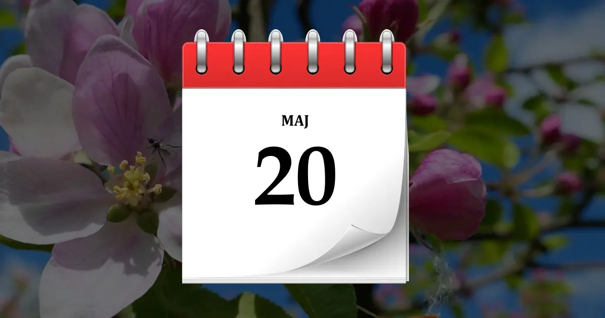 20 maja