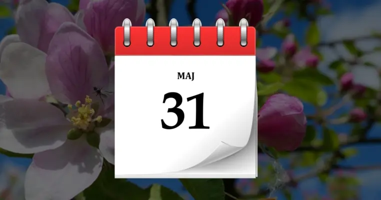 31 maja