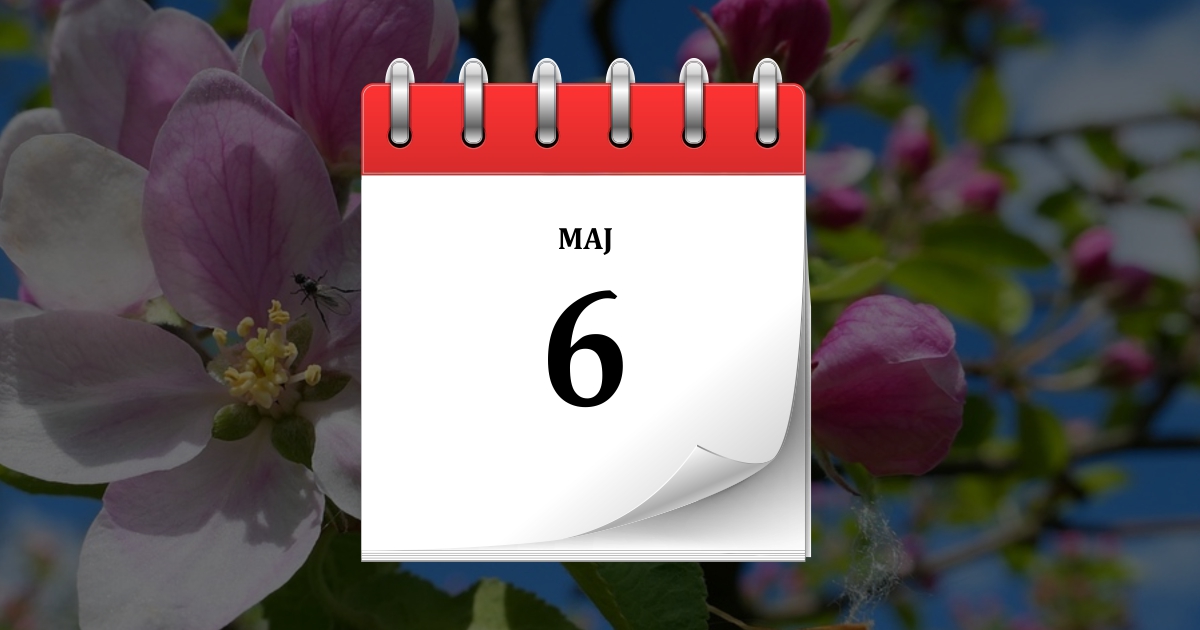6 maja