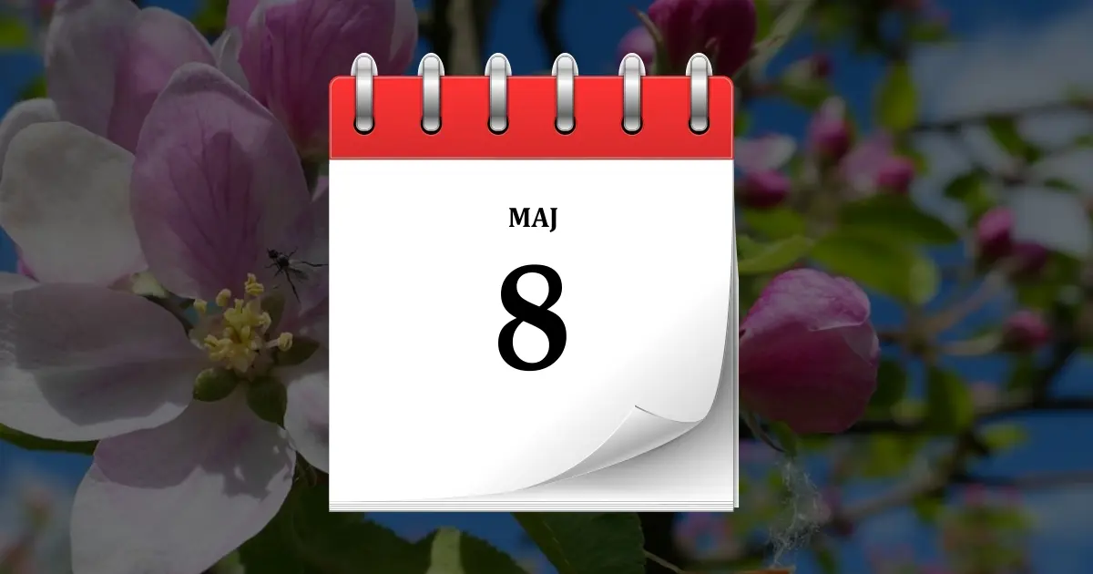 8 maja
