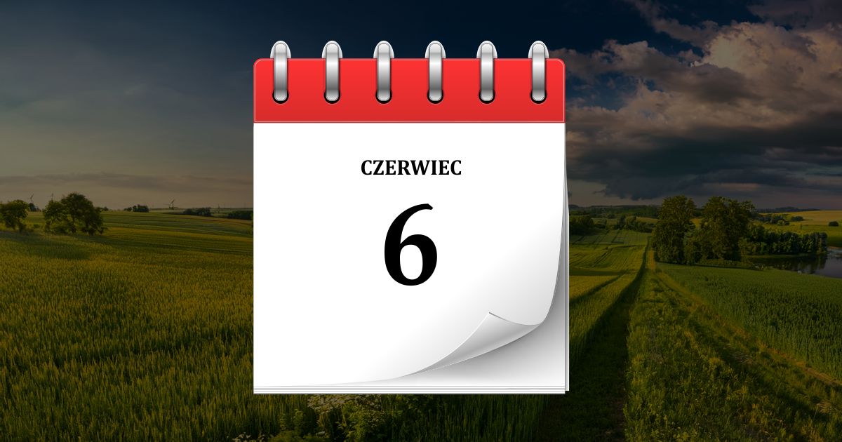 6 czerwca